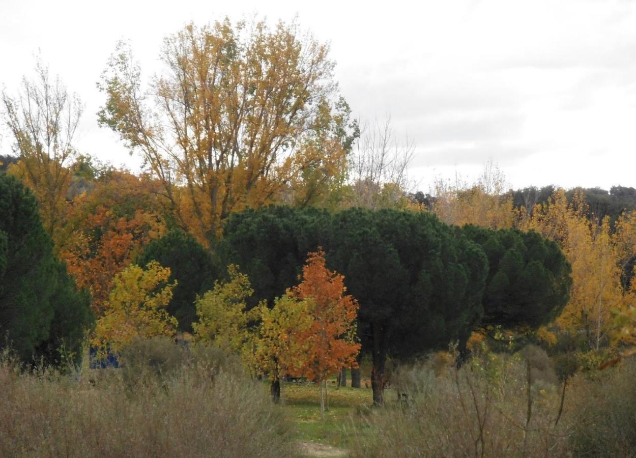 Aldea del Fresno Apartamentos "Casa Rural De Aldea" מראה חיצוני תמונה